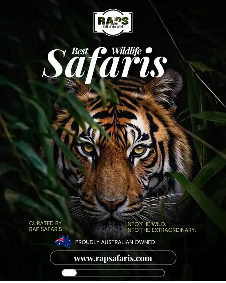 RAP Safaris carousel ad, slide 1: 'Best Wildlife Safaris'