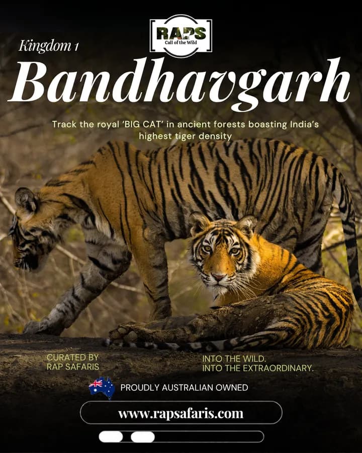 RAP Safaris carousel ad, slide 2: 'Kingdom 1: Bandhavgarh'