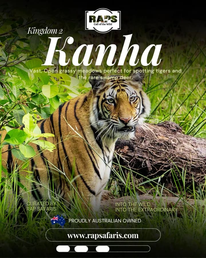 RAP Safaris carousel ad, slide 3: 'Kingdom 2: Kanha'
