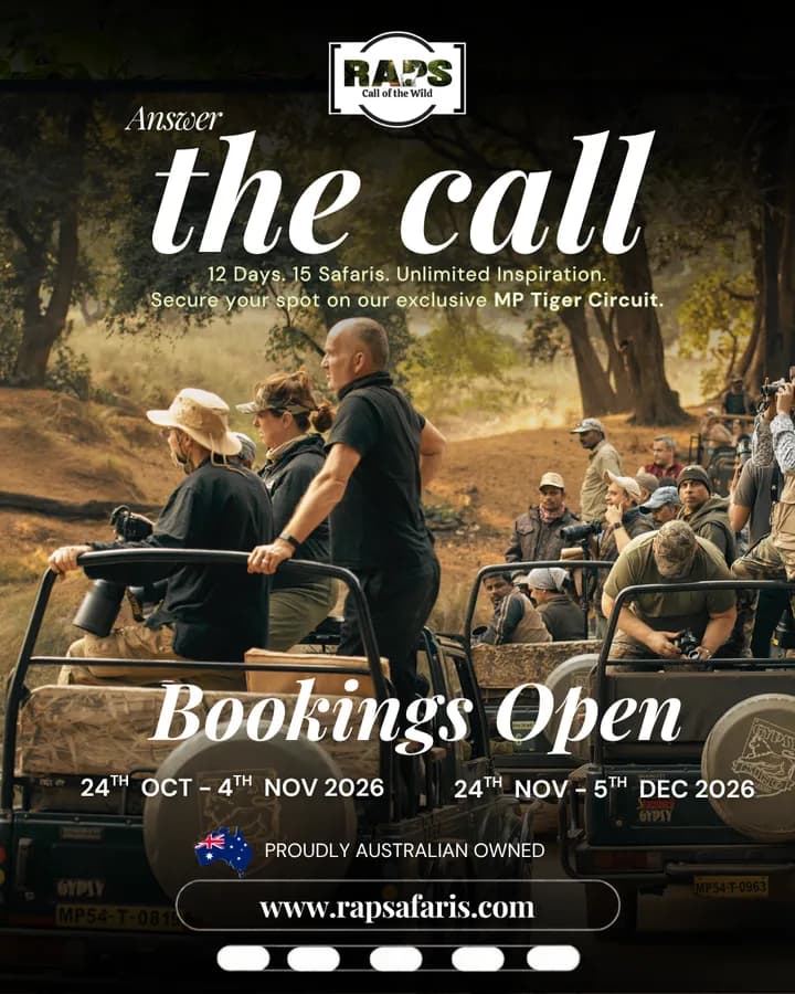 RAP Safaris carousel ad, slide 5: 'Answer the call: bookings open'